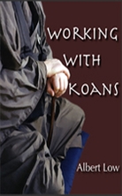 Working with Koans